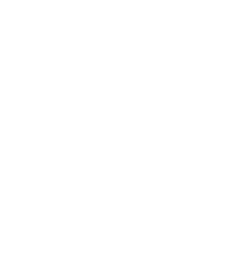 Icon of Nodes